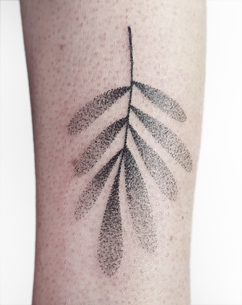 Ce que je tatoue : photographie d'un tatouage végétal